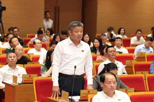 Cơ sở giết mổ tập trung hoạt động kém hiệu quả, khó cạnh tranh
