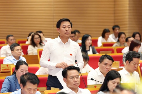 Hà Nội còn tồn tại hơn 700 cơ sở giết mổ gia súc, gia cầm nhỏ lẻ chưa được kiểm soát