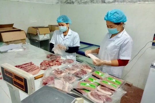 Sản xuất, tiêu thụ sản phẩm động vật theo chuỗi liên kết: Nâng hiệu quả kiểm soát chất lượng thực phẩm