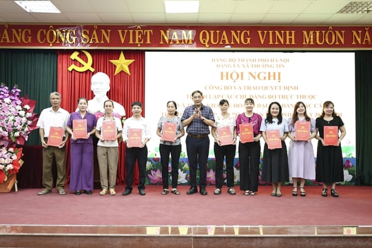 Đảng ủy xã Thường Tín có 95 Đảng bộ, chi bộ trực thuộc