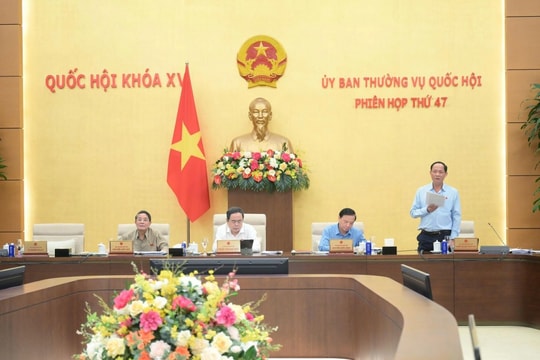 Thực hiện hiệu quả các chính sách thu hút nhân lực chất lượng cao