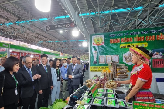 Hội chợ các sản phẩm OCOP xuất khẩu sẽ diễn ra từ ngày 1 - 3/8/2025