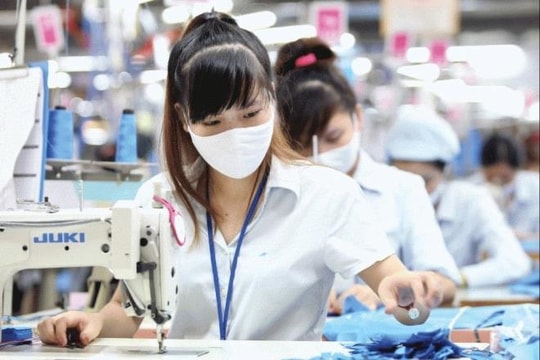 TP Hồ Chí Minh: Số lao động hưởng trợ cấp thất nghiệp giảm sâu