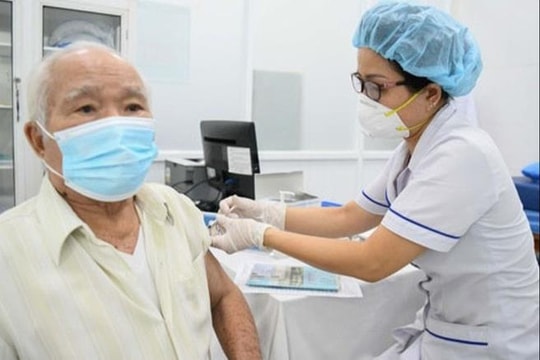 Người cao tuổi có thể tiêm vắc xin phòng não mô cầu?
