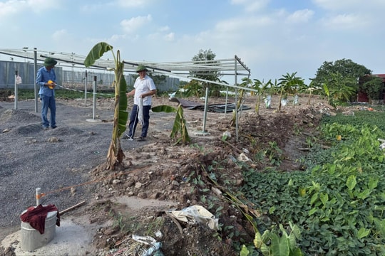 Xã Phượng Dực tập trung quản lý đất đai, chuyển đổi số, cải cách hành chính