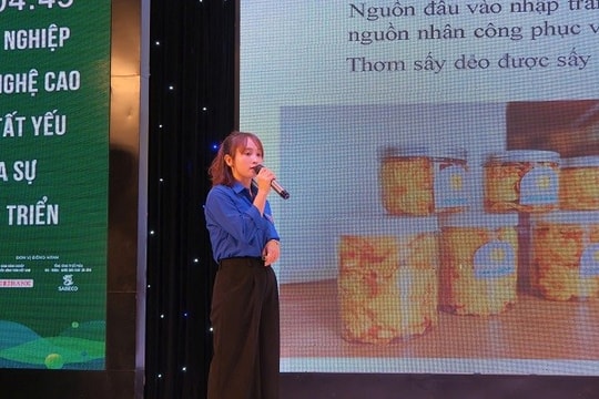 Khởi nghiệp Thanh niên nông thôn 2025: 120 dự án vào Bán kết, nhiều ý tưởng đậm dấu ấn bản địa
