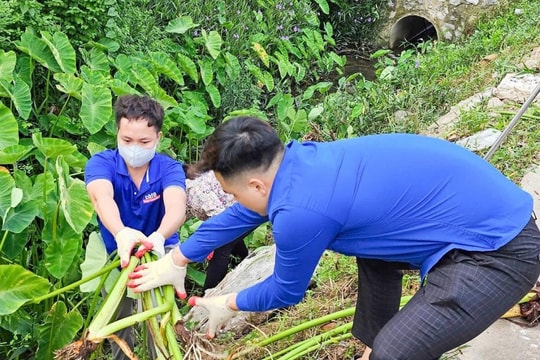 Thắp lên màu xanh tri ân giữa tháng Bảy nghĩa tình