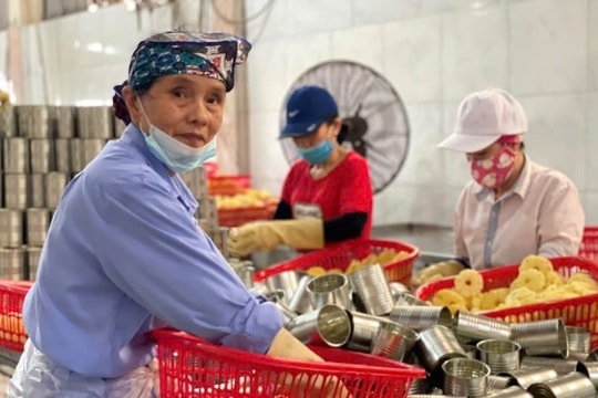 Phát huy nguồn lực người lao động cao tuổi