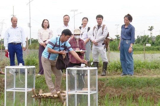 Ứng Hòa "chuyển mình" theo hướng nông nghiệp xanh, thông minh