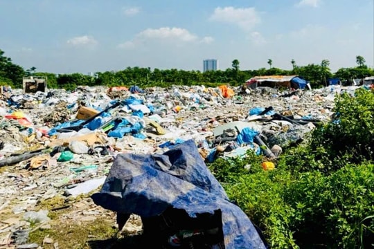 Xã Thanh Trì xử lý dứt điểm vi phạm đất nông nghiệp Khu tây làng