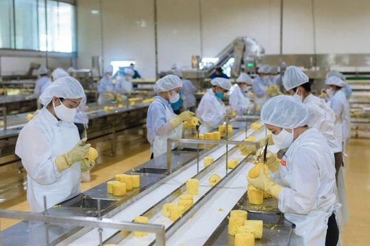 Thúc đẩy xuất khẩu 4 sản phẩm trái cây chủ lực