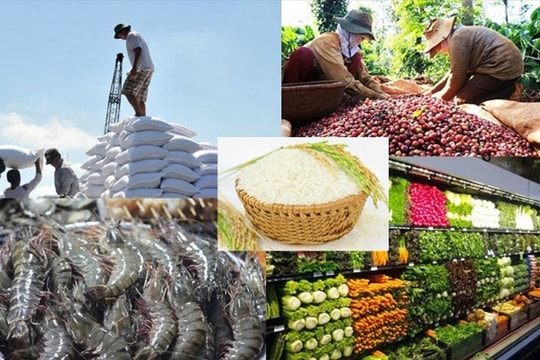 Hiện thực hóa mục tiêu xuất khẩu nông sản