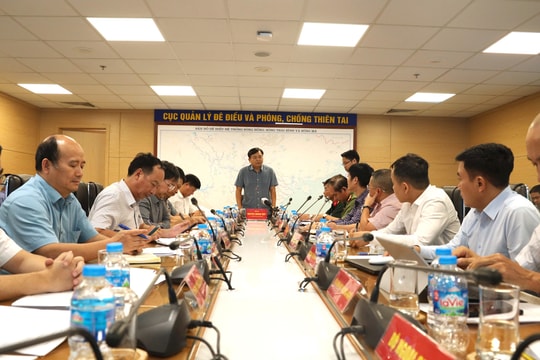 Chủ động ứng phó với bão Wipha