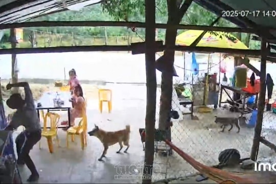 Quảng Ngãi: Tạm giữ đối tượng dùng hung khí tấn công chủ quán nước