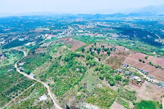 Lâm Đồng: "Đánh thức" hơn 75.000ha đất lâm nghiệp chưa có rừng