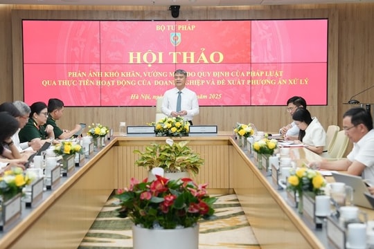 Hoàn thiện thể chế đồng thời với cải thiện tổ chức thực thi pháp luật