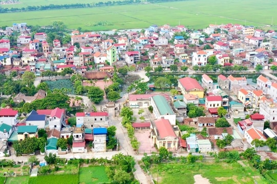 Hà Nội: Bồi thường 100% giá trị vật nuôi không thể di chuyển khi Nhà nước thu hồi đất
