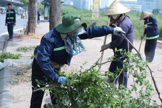 Hà Nội: Ra quân cắt tỉa, chỉnh trang cây xanh phục vụ Quốc khánh 2-9