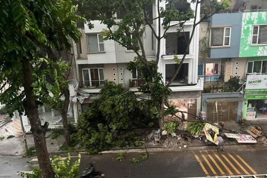 Hà Nội sẵn sàng ứng phó với bão và nguy cơ mưa lớn