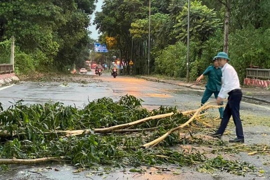Xã Hòa Lạc kích hoạt toàn bộ lực lượng, sẵn sàng sơ tán dân khi cần thiết
