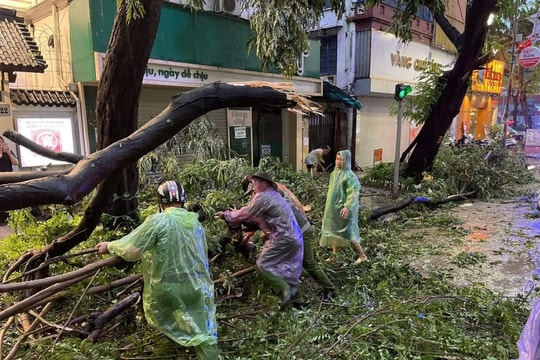 Hà Nội khẩn trương khắc phục cây xanh gãy, đổ sau cơn giông lốc mạnh