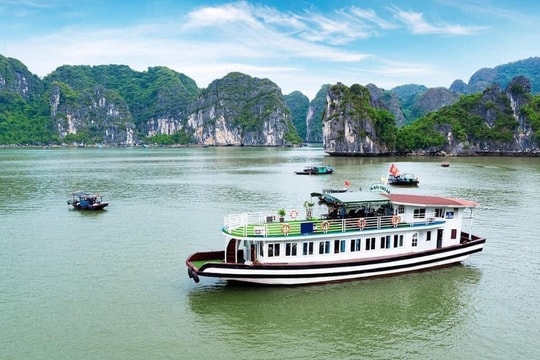 Tạm dừng cấp phép tàu chở khách ra vịnh Hạ Long từ 20 -7