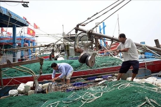 Thủ tướng chỉ đạo khẩn trương triển khai ứng phó khẩn cấp với bão số 3