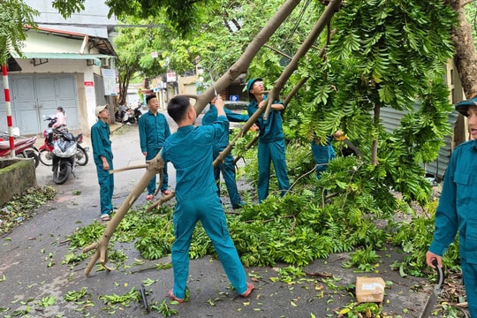 Phường Long Biên (Hà Nội) Dọn dẹp cây gãy đổ, chủ động ứng phó với cơn bão số 3