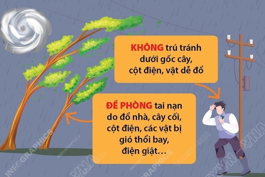 Các biện pháp phòng tránh khi bão đổ bộ