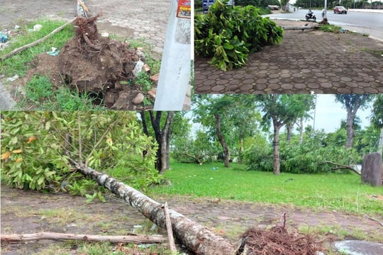 Hà Nội: Nhiều cây xanh đổ gãy tại đường trục phía Nam sau dông lốc
