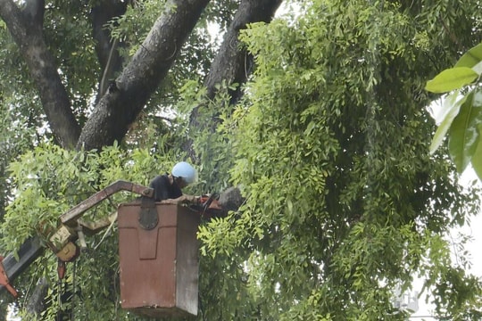 Hòa Lạc triển khai ứng phó bão số 3 và phòng, chống thiên tai, cứu hộ cứu nạn