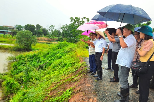 Lãnh đạo Sở Nông nghiệp và Môi trường Hà Nội kiểm tra công tác phòng, chống lụt bão trong chăn nuôi thủy sản