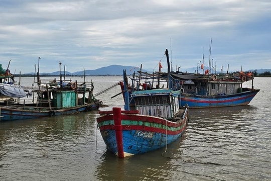 Khẩn trương kêu gọi 425 tàu thuyền ở vịnh Bắc Bộ vào nơi trú ẩn