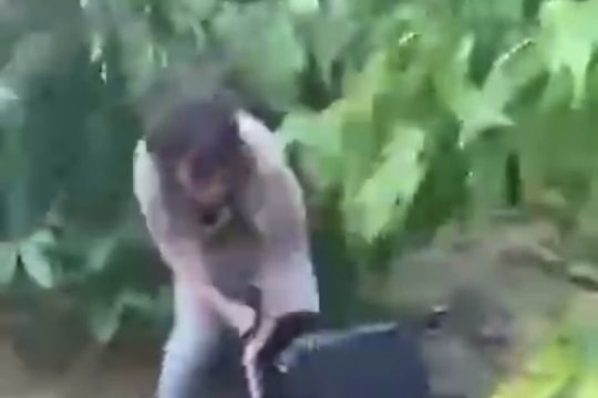 Quảng Ngãi: Một nữ sinh bị đánh hội đồng trong rẫy cà phê