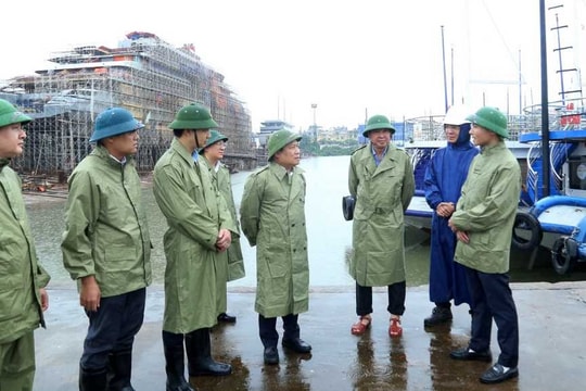 Bí thư Tỉnh ủy Quảng Ninh kiểm tra công tác phòng, chống bão Wipha