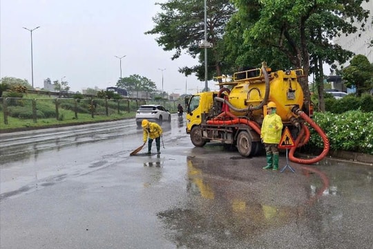 Hà Nội: Lên phương án ứng phó với cây đổ hàng loạt và mưa lớn diện rộng