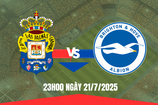 Nhận định Las Palmas vs Brighton: “Chim mòng biển” bay cao