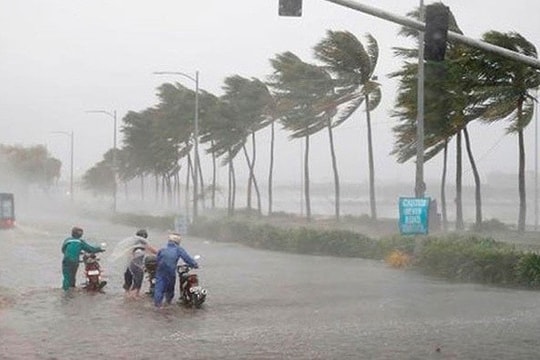 Hiểu đúng cấp độ bão để chủ động ứng phó an toàn