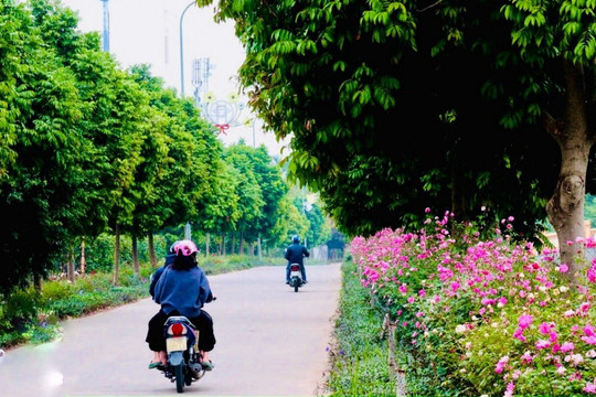 Xây dựng nông thôn Hà Nội hiện đại, sinh thái, giàu bản sắc