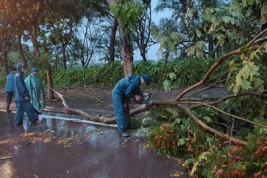 Các phường Phúc Lợi, Việt Hưng, Bồ Đề, Long Biên sẵn sàng ứng phó bão Wipha