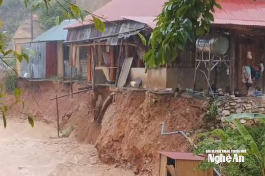 Bão số 3 làm 79 ngôi nhà bị tốc mái, hơn 100.000ha lúa ngập úng