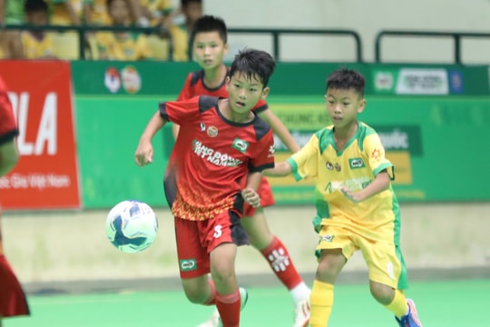 16 đội bóng tham dự Vòng chung kết Giải bóng đá Nhi đồng (U11) toàn quốc 2025