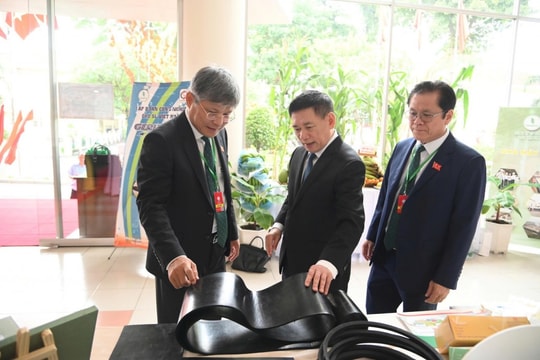 Phó Thủ tướng Hồ Đức Phớc: Tập đoàn Công nghiệp Cao su Việt Nam sẽ luôn đổi mới, đóng góp tích cực vào phát triển kinh tế đất nước