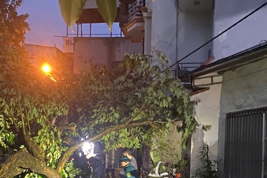 Hà Nội Phường Lĩnh Nam chủ động ứng phó bão số 3