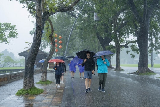 Không đưa khách du lịch đến vùng đang có bão để đảm bảo an toàn