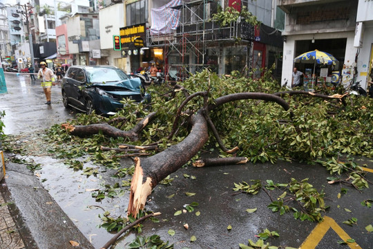 TP.HCM: Triển khai các biện pháp ứng phó bão số 3