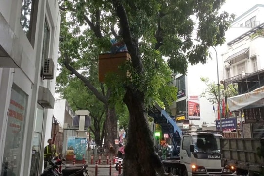Các phường Ba Đình, Ngọc Hà, Giảng Võ vận động người dân di chuyển tới nơi an toàn