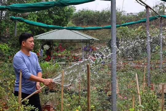 Yên Bài phát triển cây xanh, cây công trình