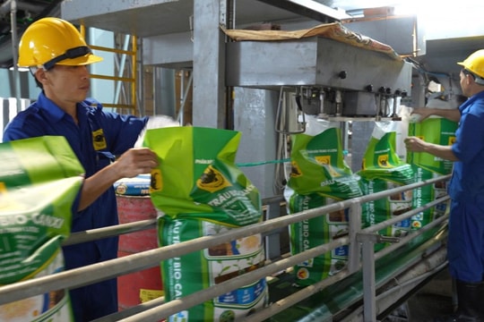 Hành trình đưa "vi sinh vật" vào phân bón Đầu Trâu Bio-Canxi