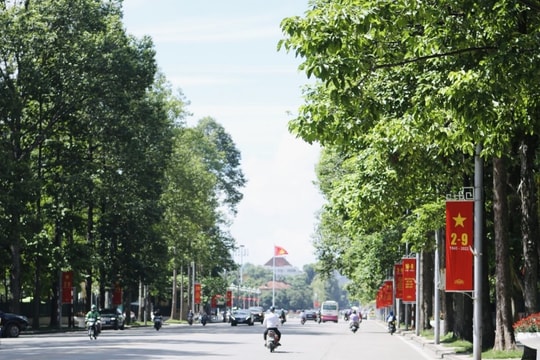 Dịch chuyển cây xanh phục vụ thi công đường Hùng Vương kéo dài
